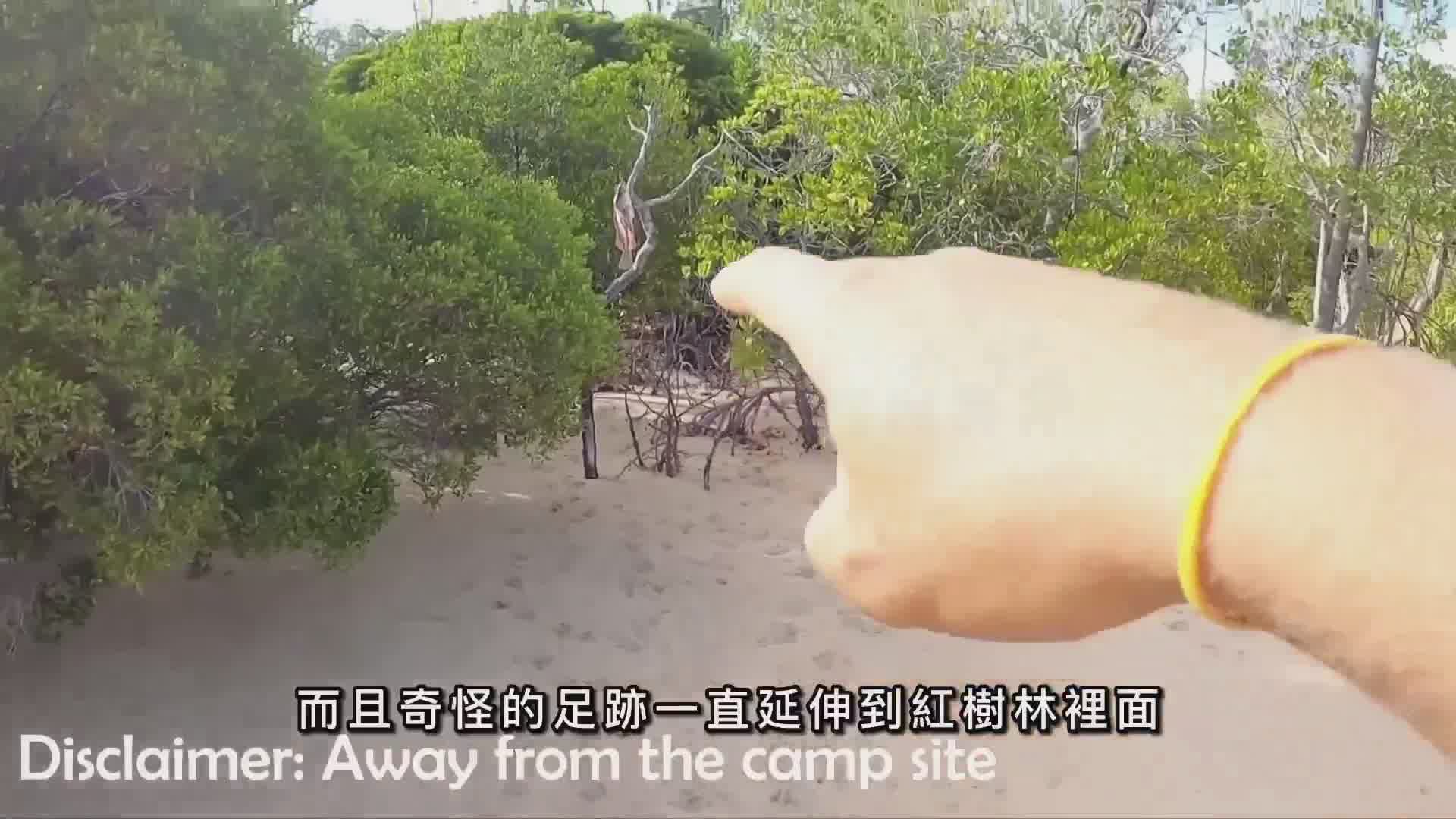 極品妹子求生，搭建豪華庇護所，烤魚肉天天吃到飽