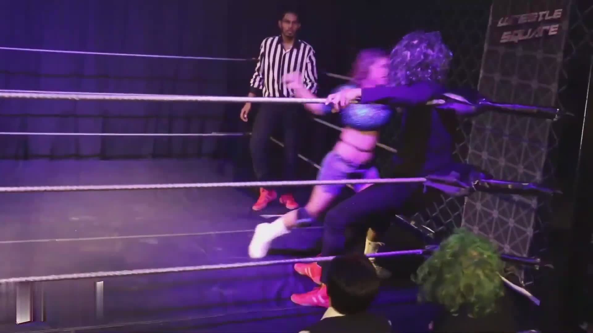 欢迎来到印度摔跤精选的直播间