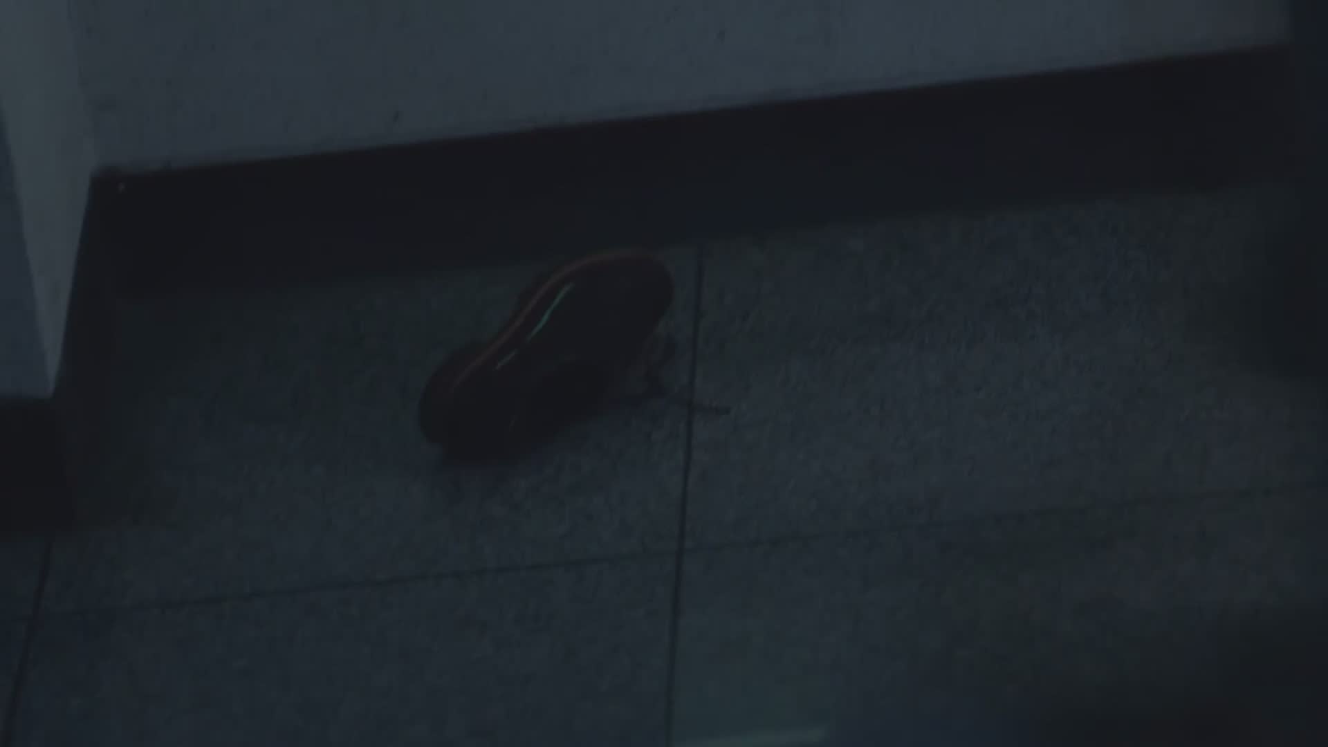 每年都看 秀智真美