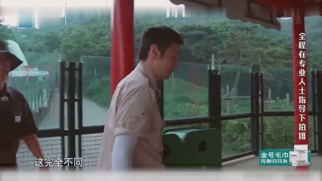 神奇又搞笑！王嘉尔搞笑石锤？