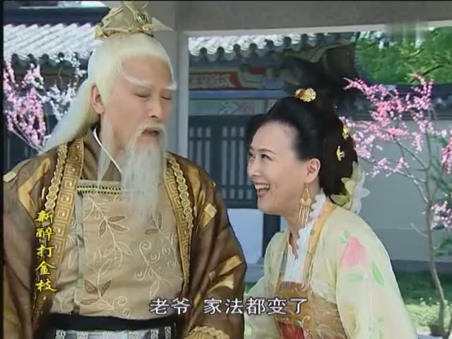 渣渣辉演的男主剧