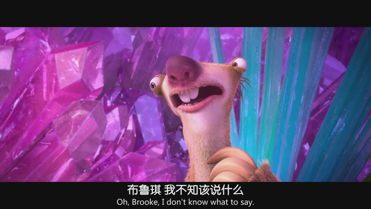 一只松鼠引发的灾难