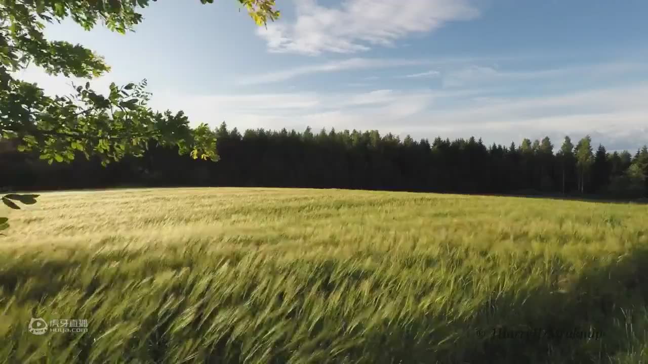 【晚安】聆听大自然的声音