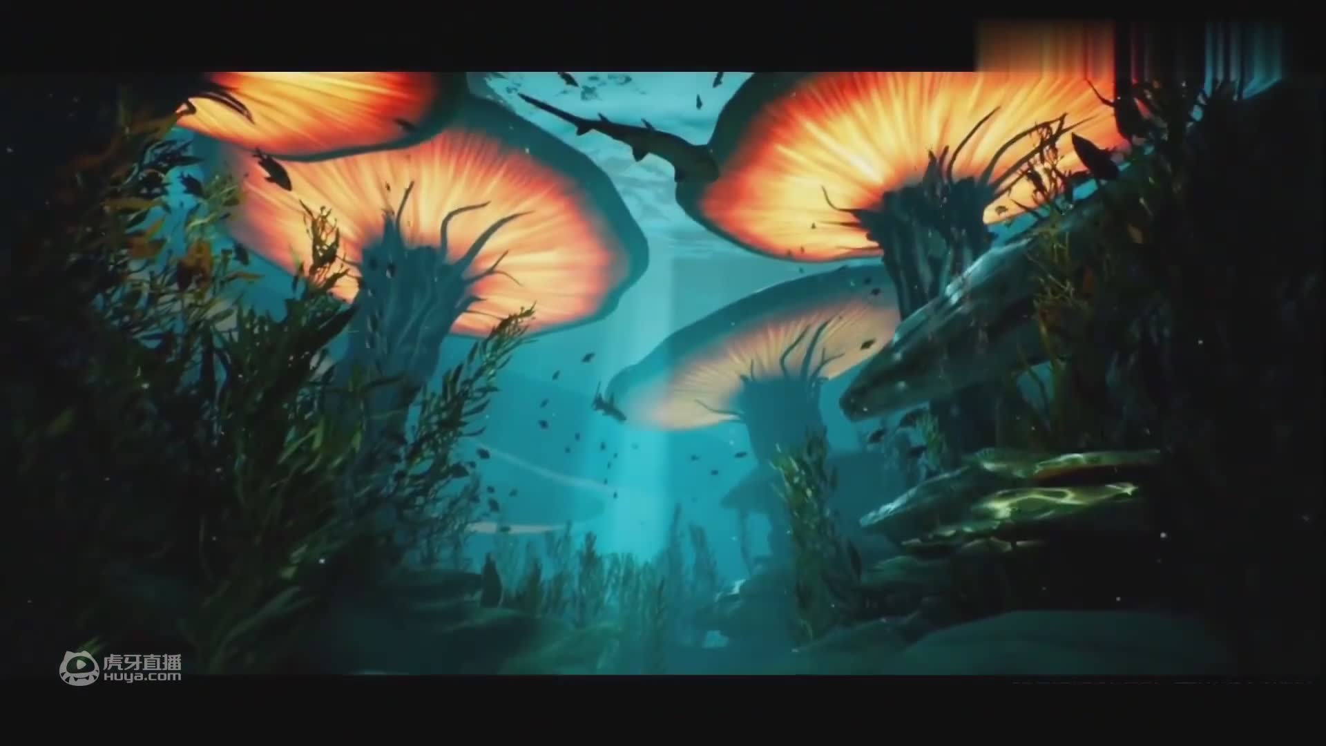 【白噪音】全景声音环绕-深海,放松