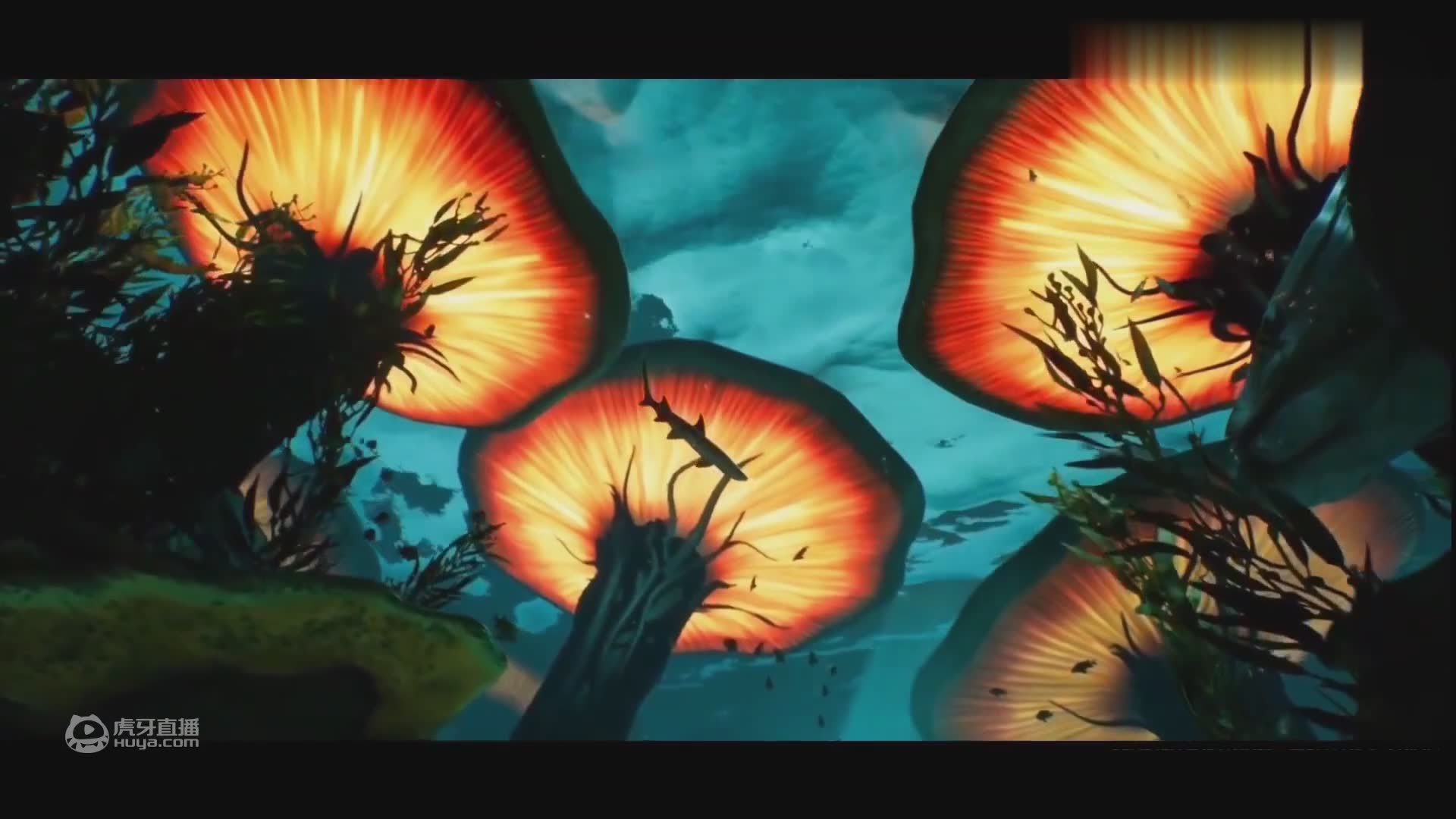 【白噪音】全景声音环绕-深海,放松