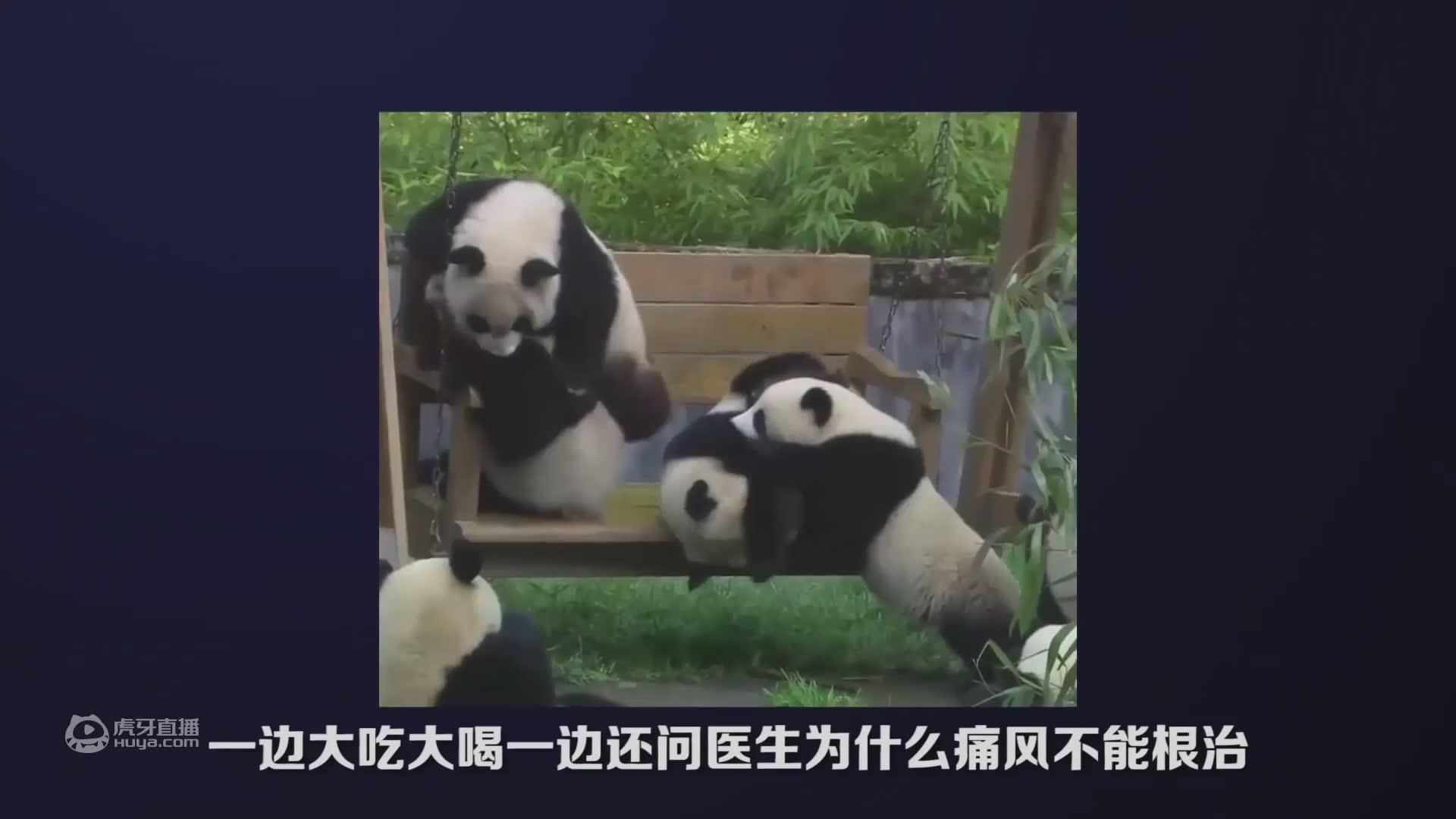 何懿医生讲痛风