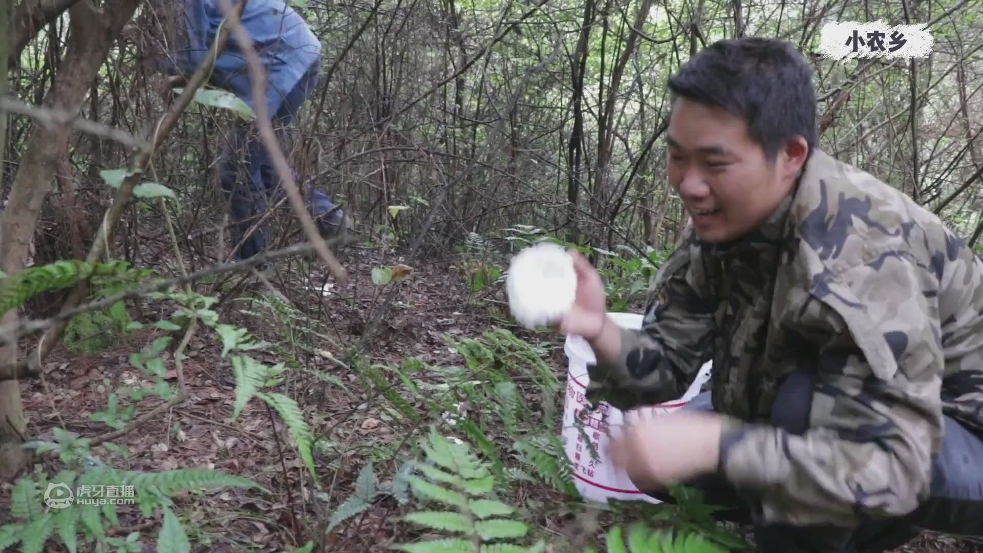 下了几场雨，小农乡进山，捡了满满的一桶红蘑菇，遍地都是，过瘾
