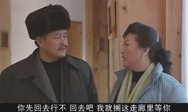 刘老根 再难重现的经典好剧