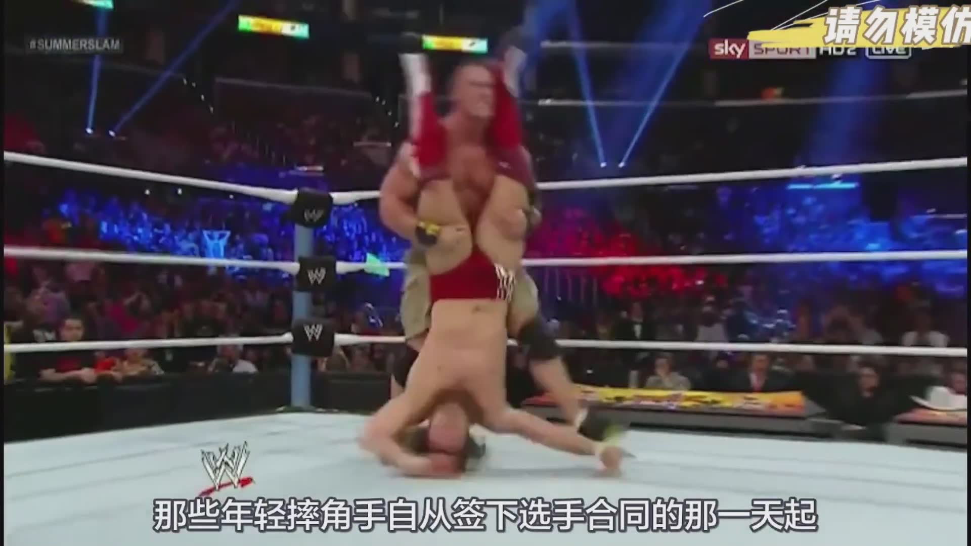 Wwe冷石葬爷强森大布联动剧情