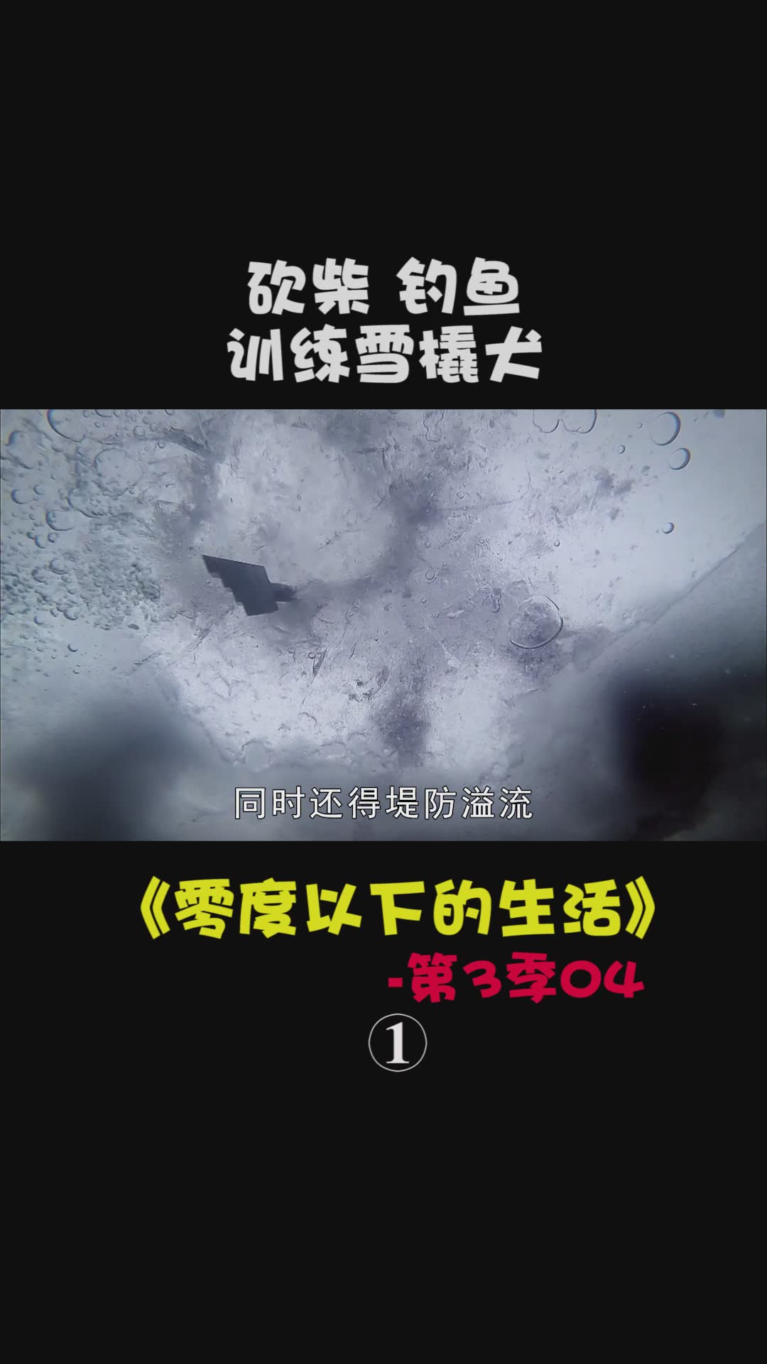 d82集：砍伐百年老树 #零度以下的生活#纪录片