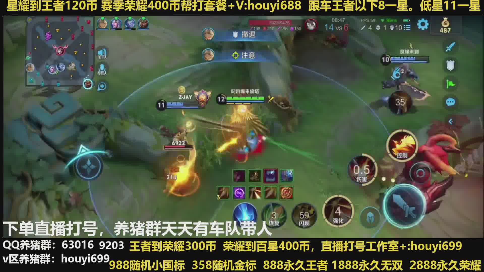 258上荣耀，350上百星，养猪流上星