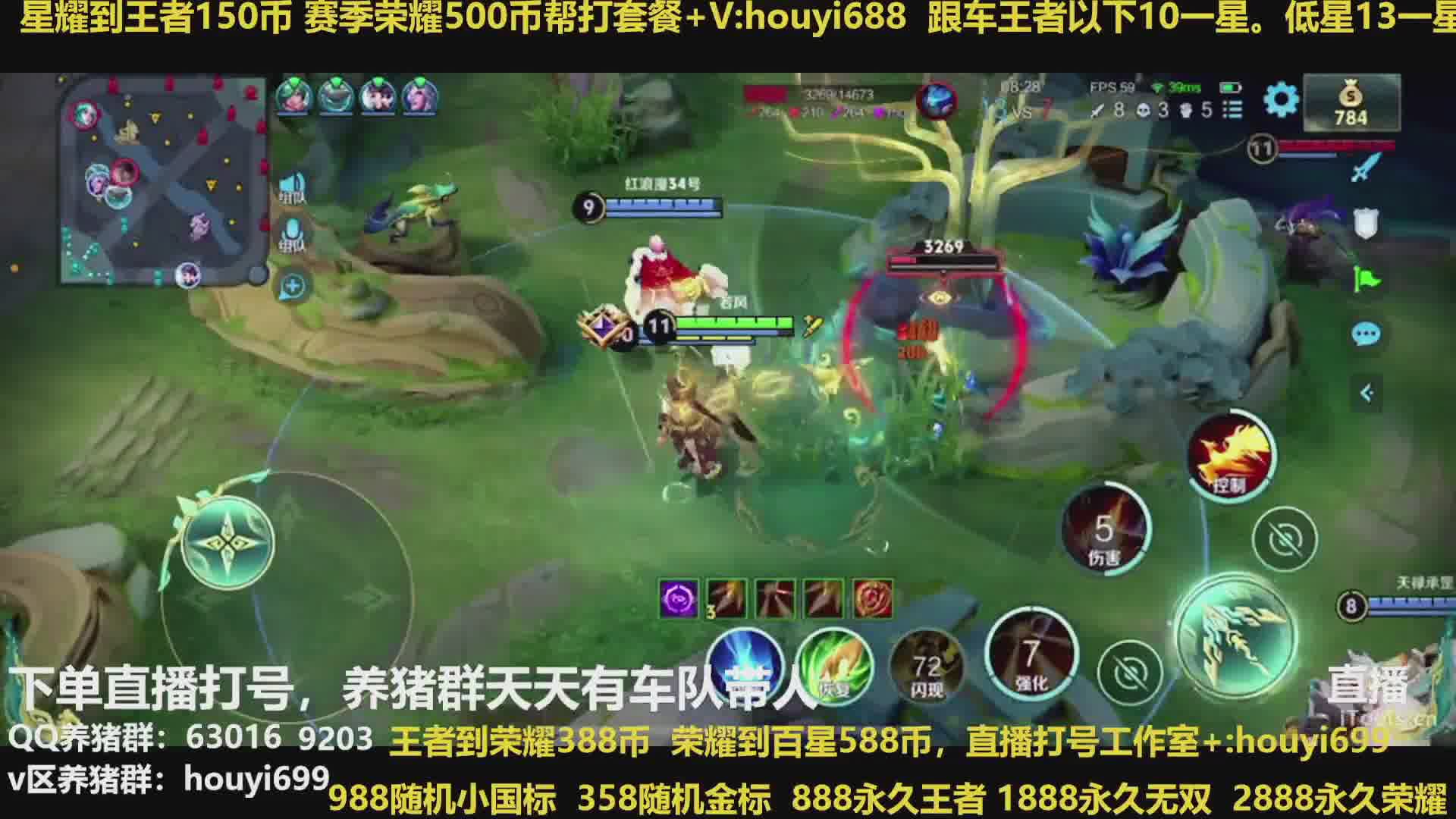 150上王者，388上荣耀，养猪流工作室