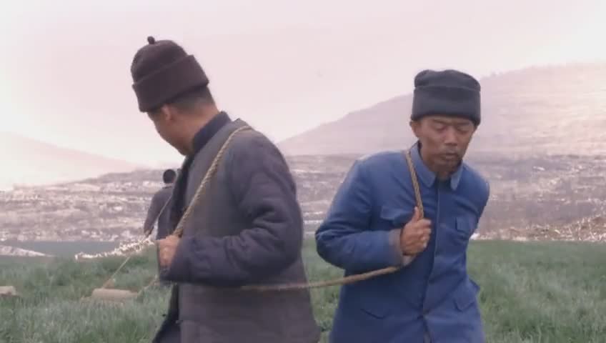 老农民 冯远征陈宝国老戏骨无敌演技