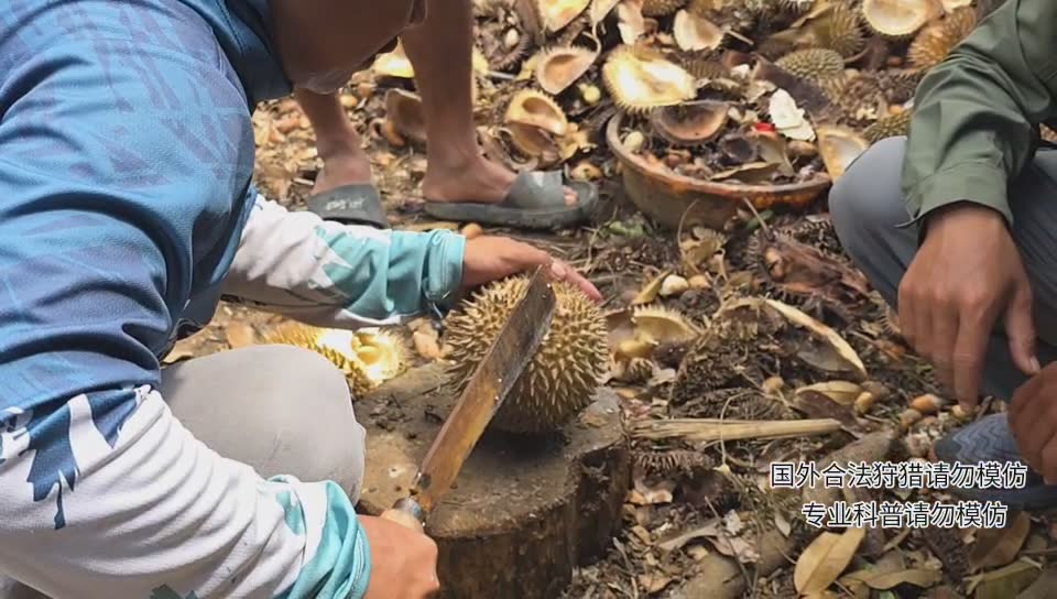 印泥行第19天，网络恢复大干一场