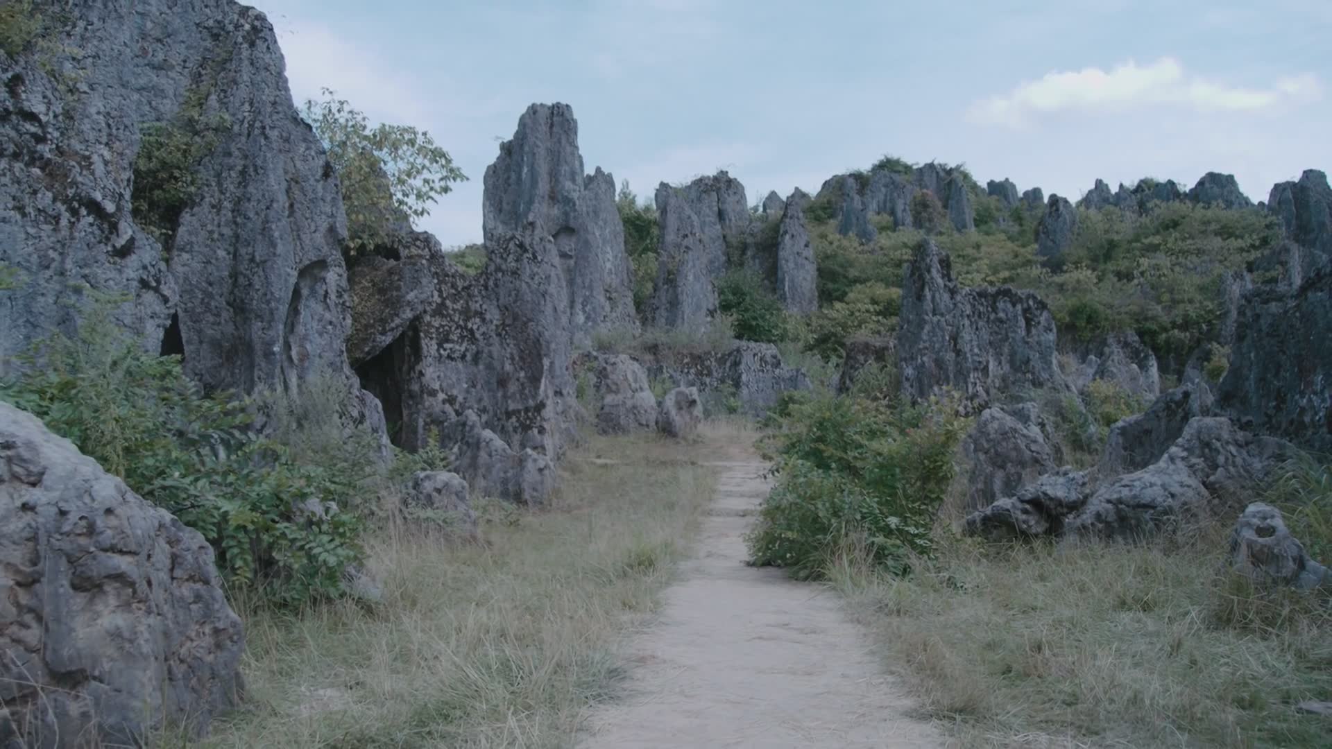 蓝忘机魏无羡，纯纯兄弟情