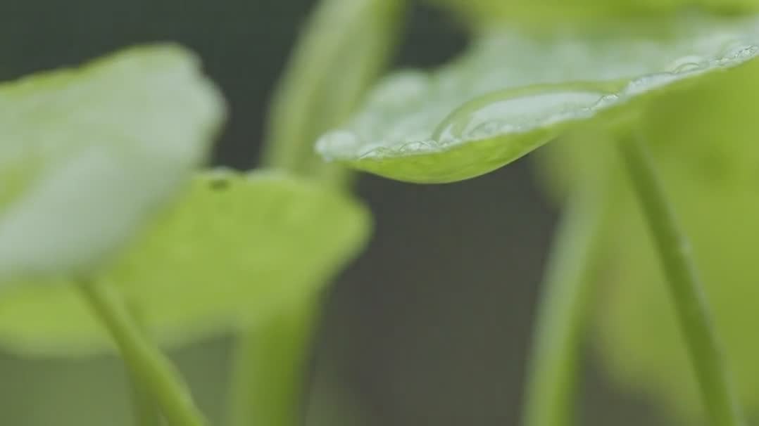 于谦吴京何猷君的幸福生活~