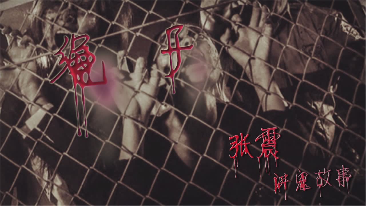 有声小说-看张震讲故事