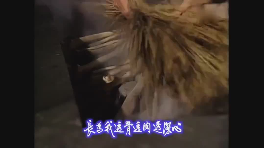 惊悚刺激！离奇案件宋慈该如何破？