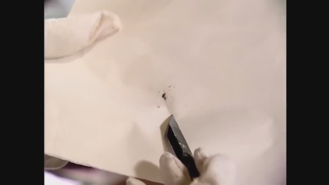 惊悚刺激！离奇案件宋慈该如何破？