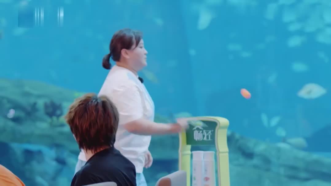 青环1-5，杨迪又偷题了？