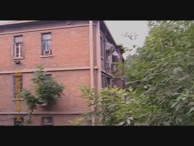 yang光的快乐生活，轻松一夏的必看喜剧！