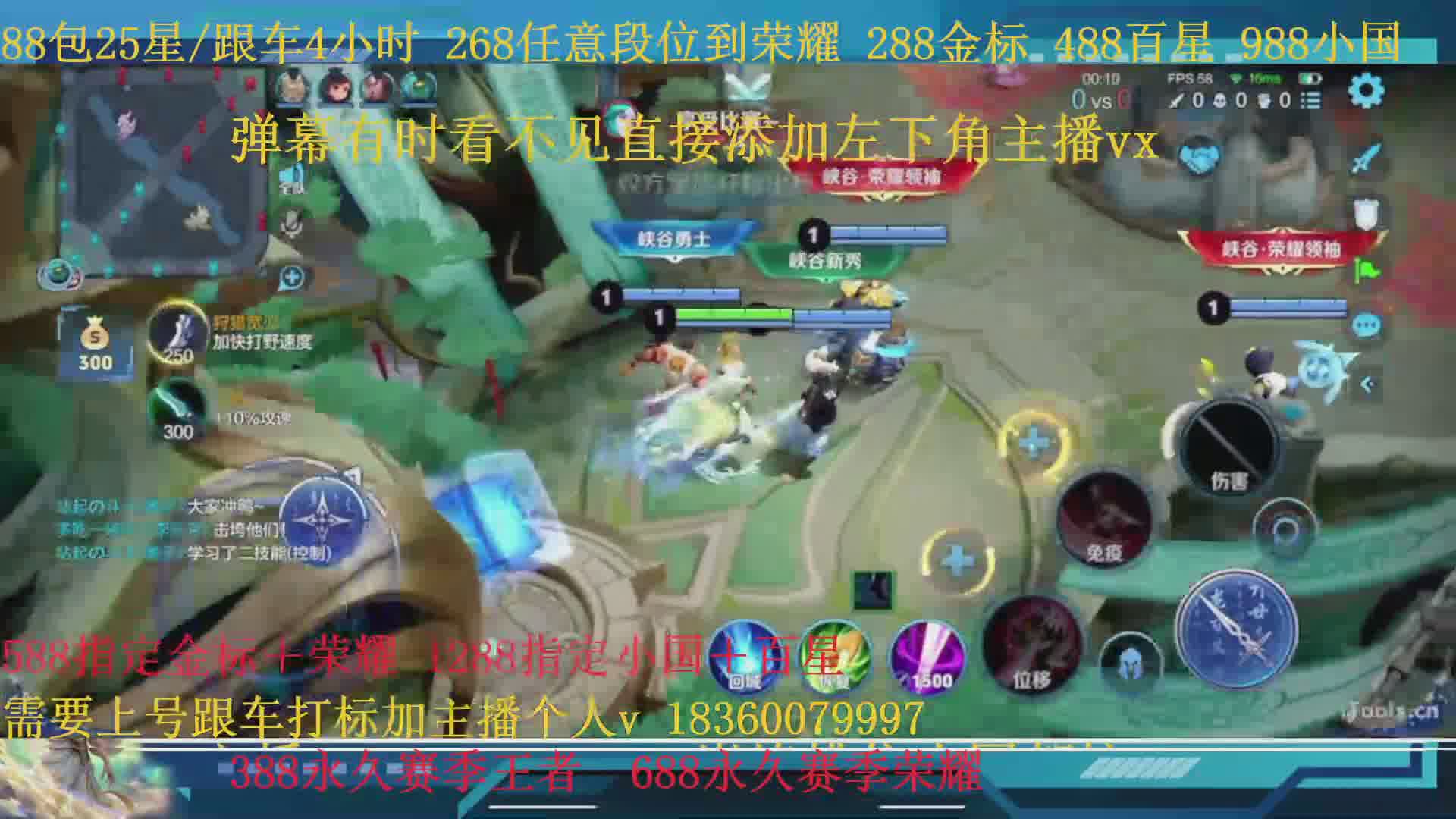 288金标388百星988小国