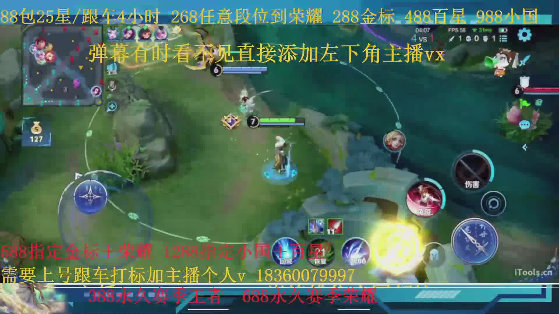 288金标388百星988小国