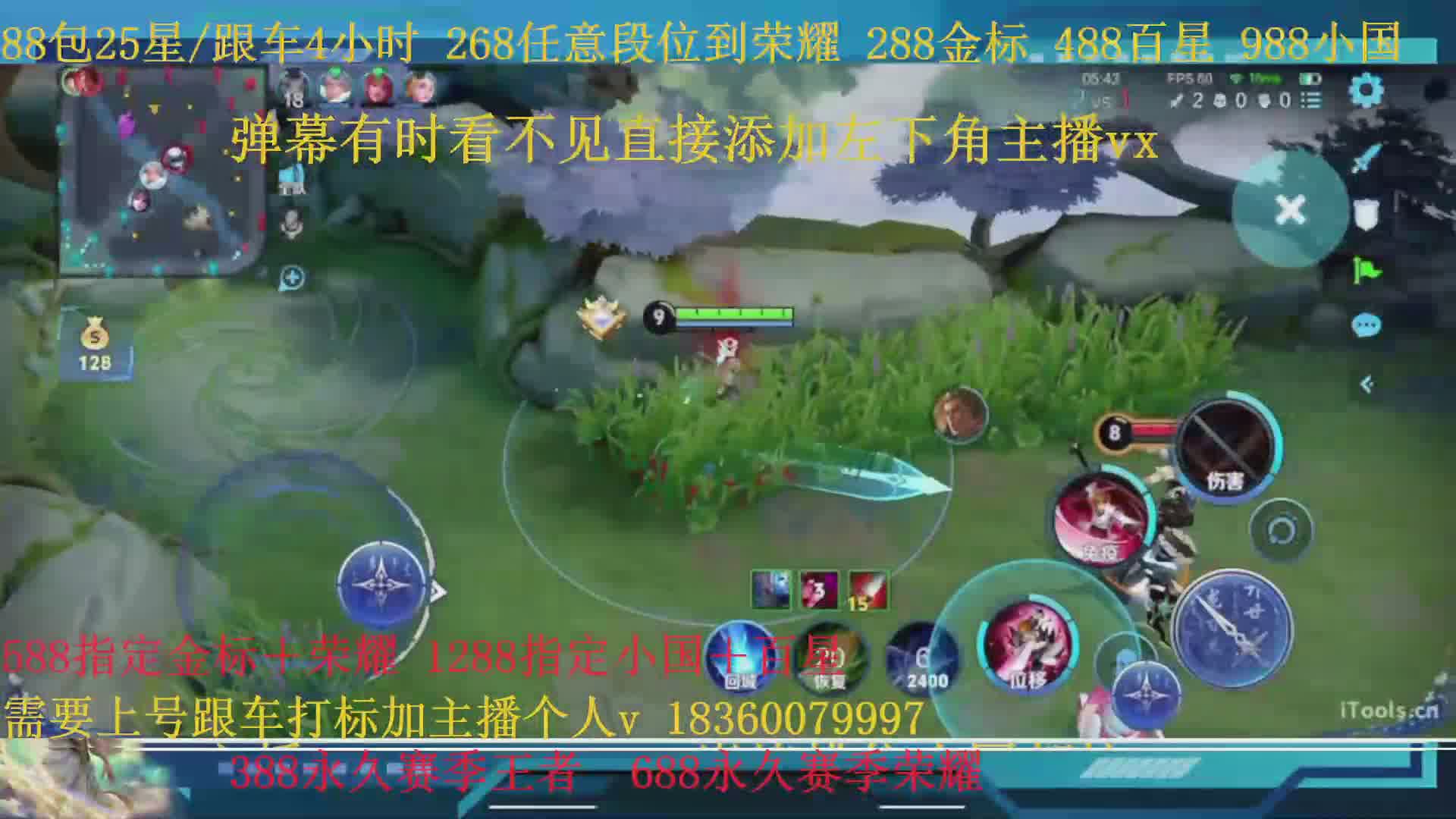 288金标388百星988小国