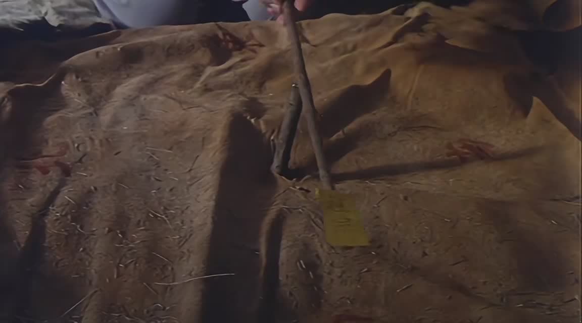 英叔护体 | 林正英搞笑僵尸系列