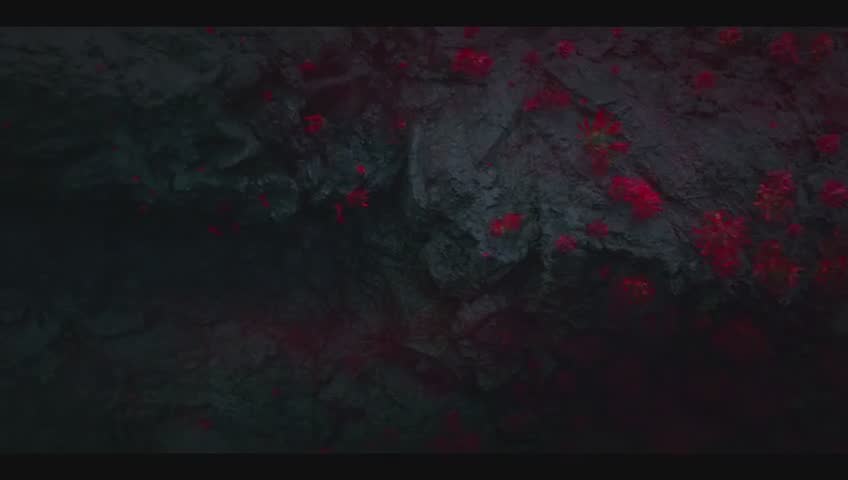 胡八一胖子沙漠古城找鬼洞