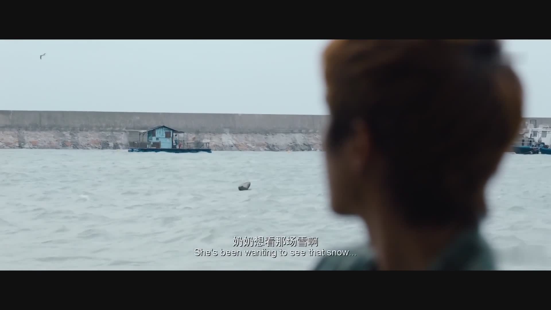 大片看这里 九龙城寨扫毒3
