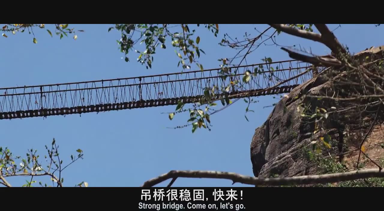 全世界都钟爱的盗墓电影鼻祖