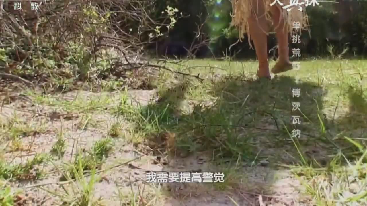 德爷荒野求生解说